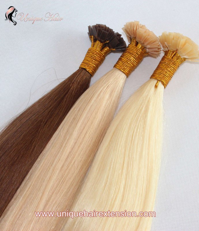 Hot Fusion Hair Extensions-228